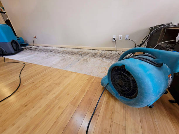 Professional Sewage Cleanup technician working in Wofford Heights, CA